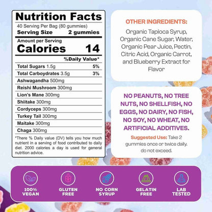 FOCUS, ENERGY + CALM- Mushroom Gummies